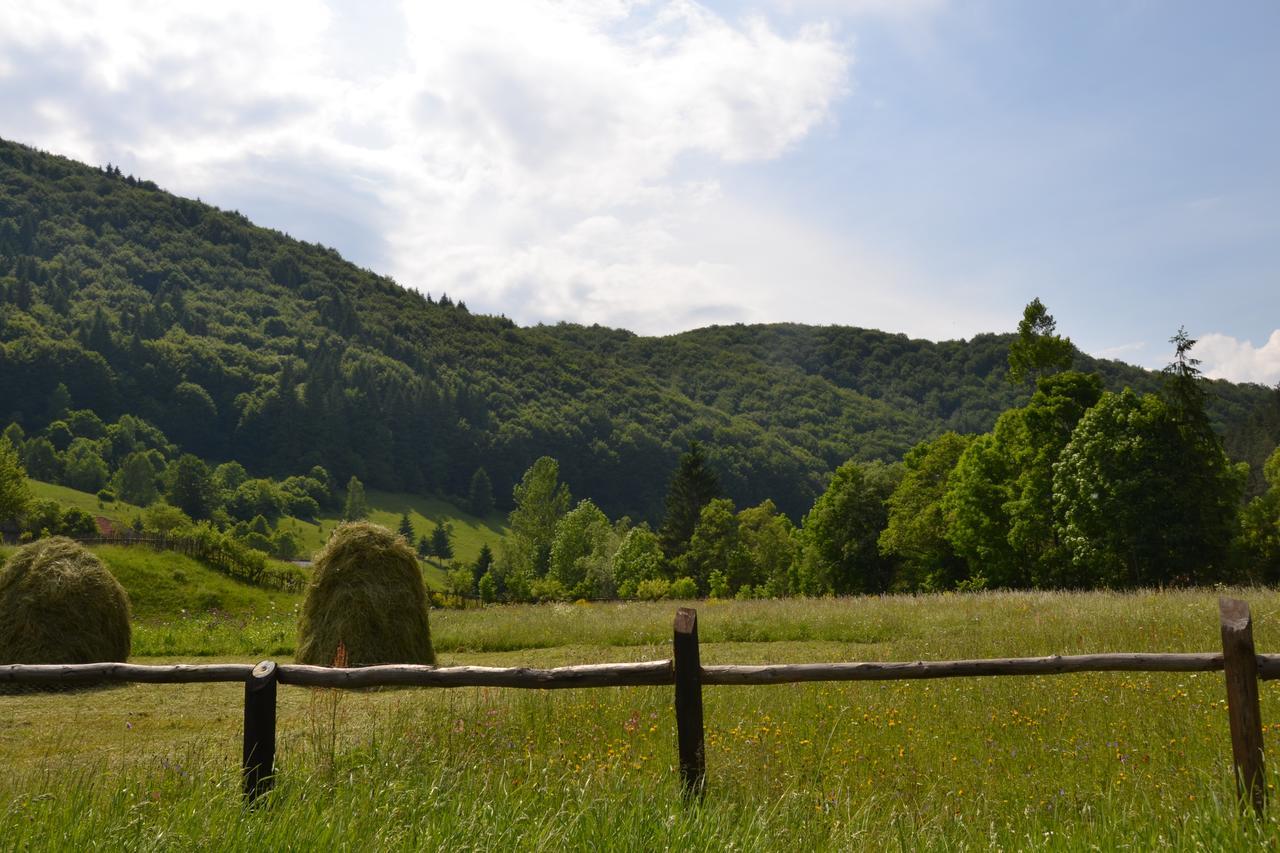 Séjour à la campagne Gospodaria Lui Nea Ion *