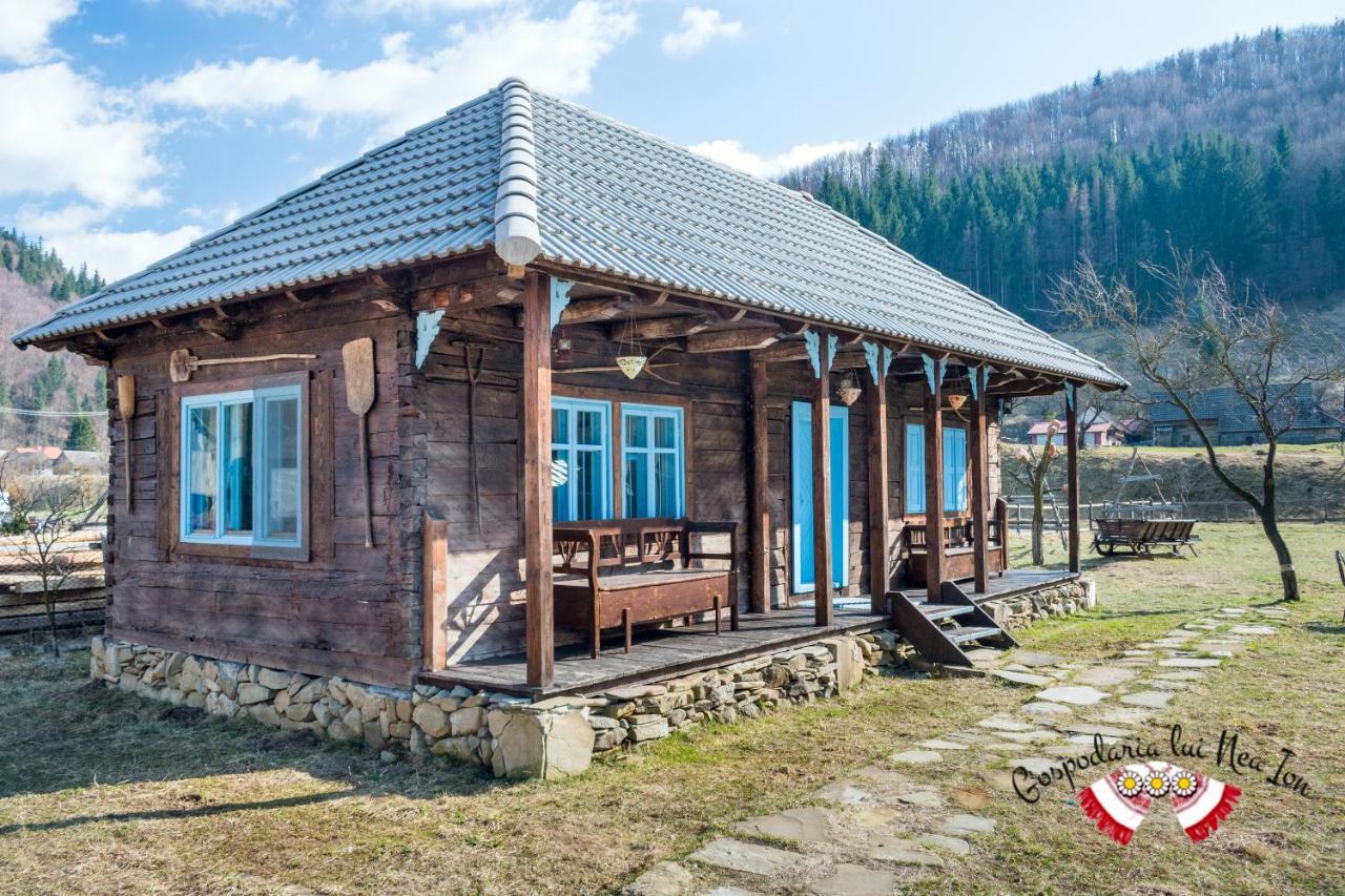 Gospodaria Lui Nea Ion Séjour à la campagne *