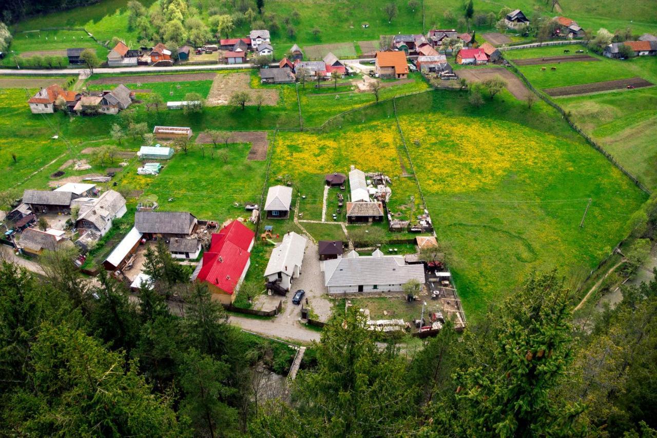 Séjour à la campagne Gospodaria Lui Nea Ion